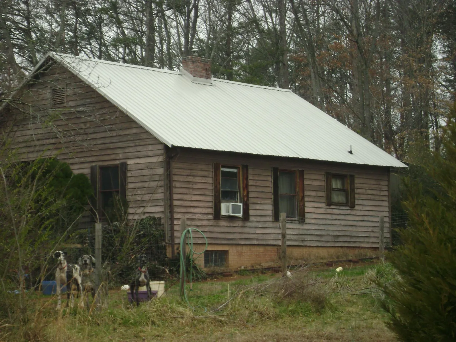 White metal roof on an old wood sided farmhouse, from a Asphalt Shingle Roof Repair job in North Washington